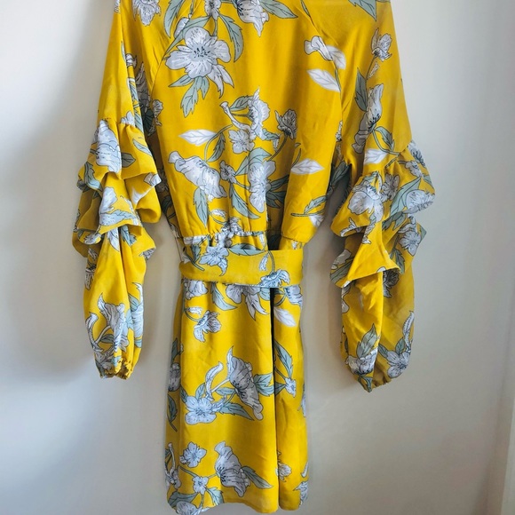 Dex Floral Shirt Dress w/ Bouffant Sleeves & Belt - Picture 3 of 6